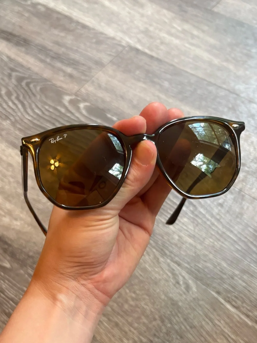 Ray-Ban Men’s Brown Frame Sunglasses